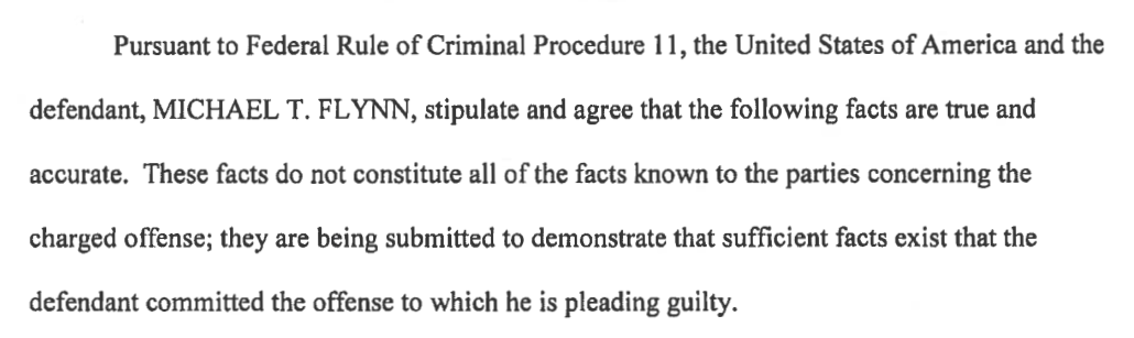 Statement of the Offense excerpt 1